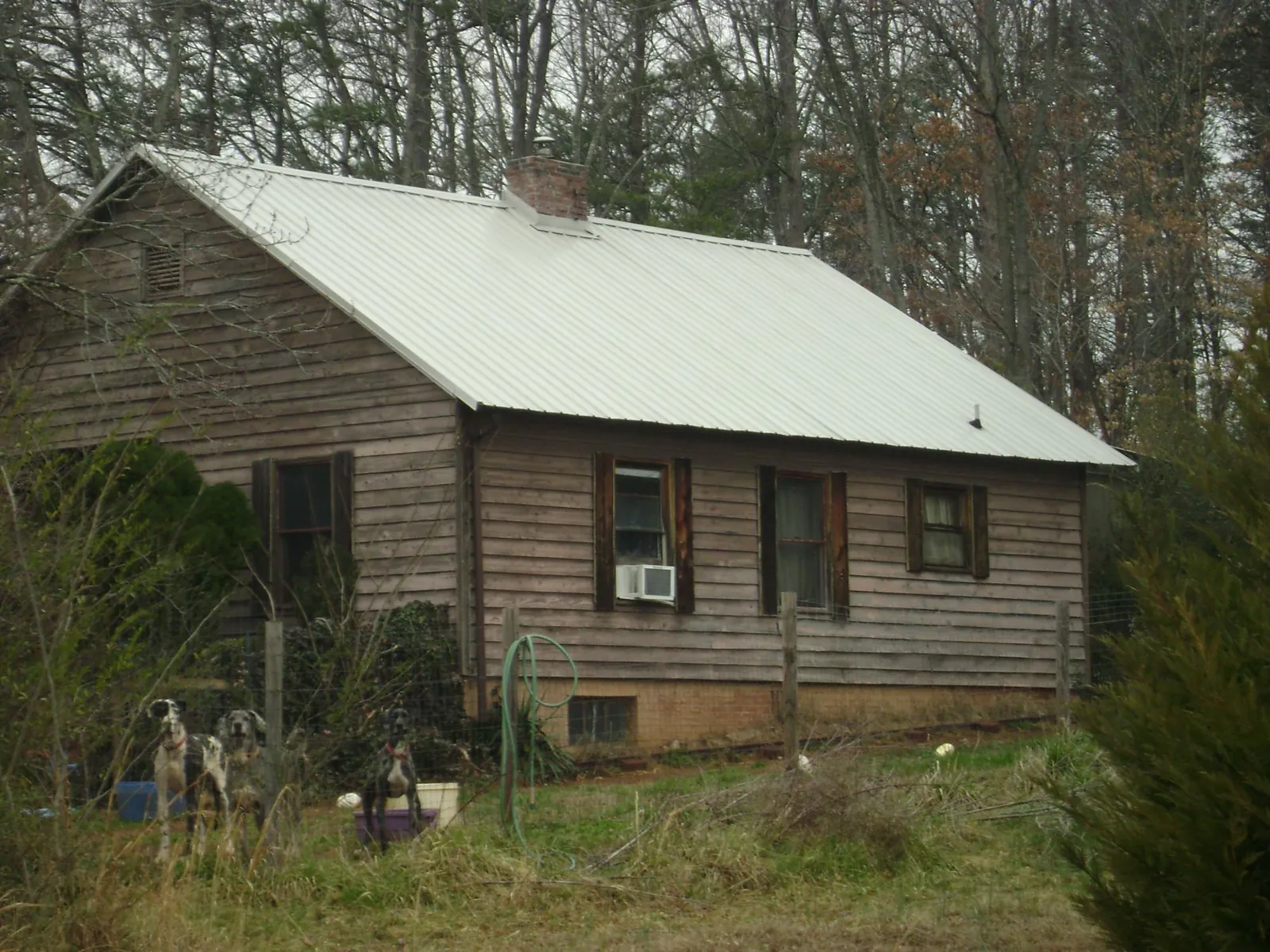 White metal roof on an old wood sided farmhouse, from a Asphalt Shingle Roof Repair job in Saint James